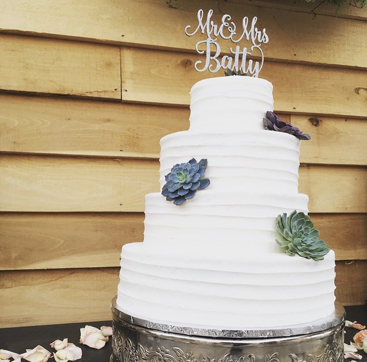 White Cake with Succulents