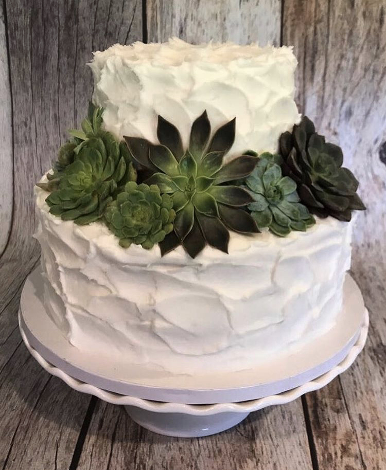 Fall Inspiration - Cake with Succulents