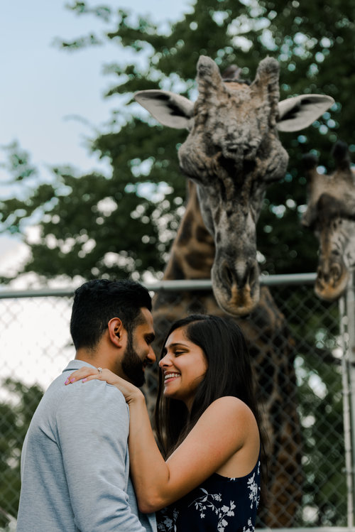 Nashville Zoo Proposal