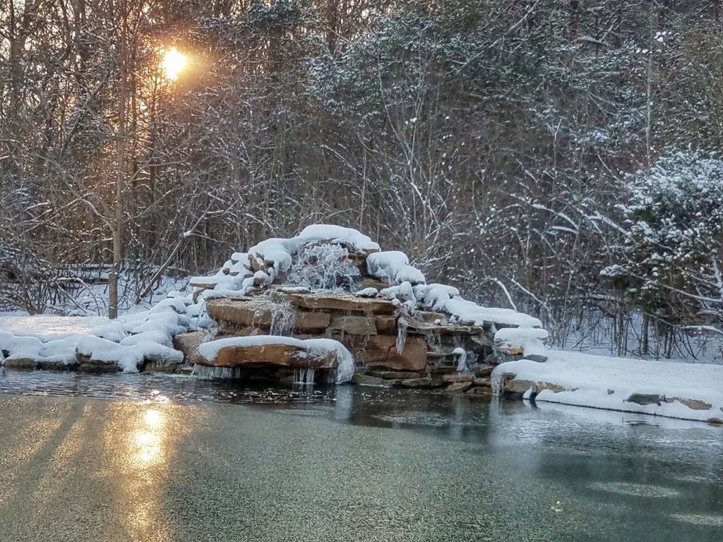 Reflection Pond Frozen