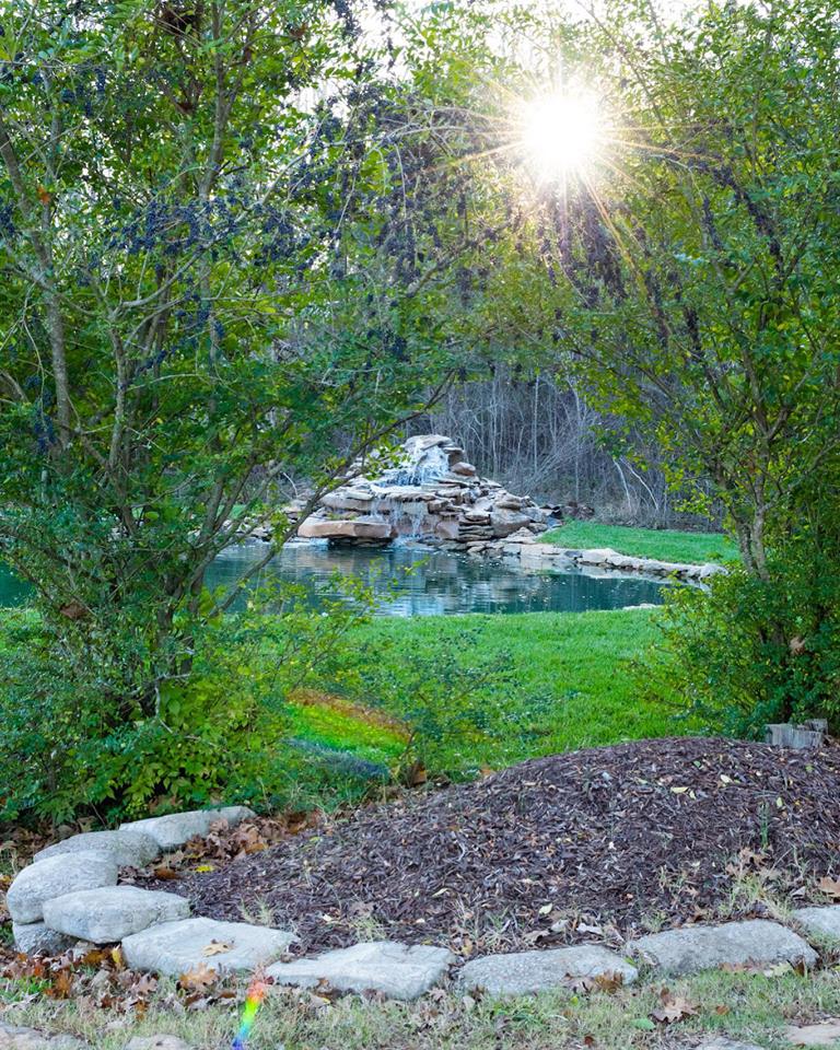 Reflection Pond