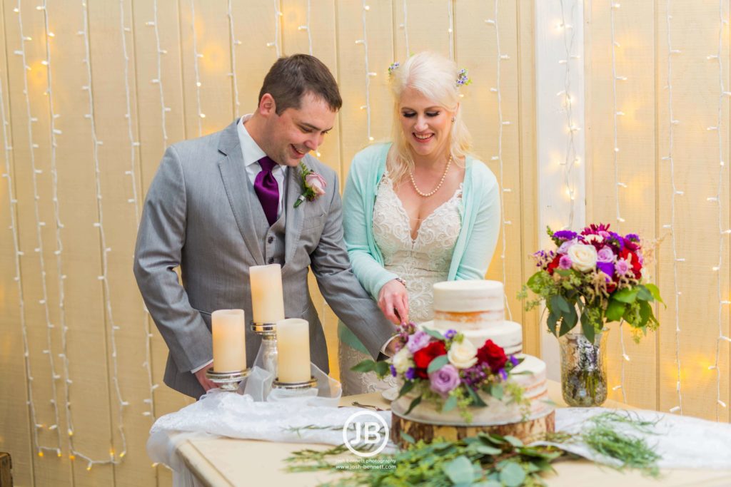 Wedding Cake - Purple Wedding