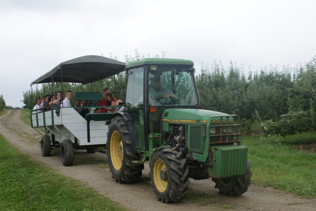 tractors - wedding