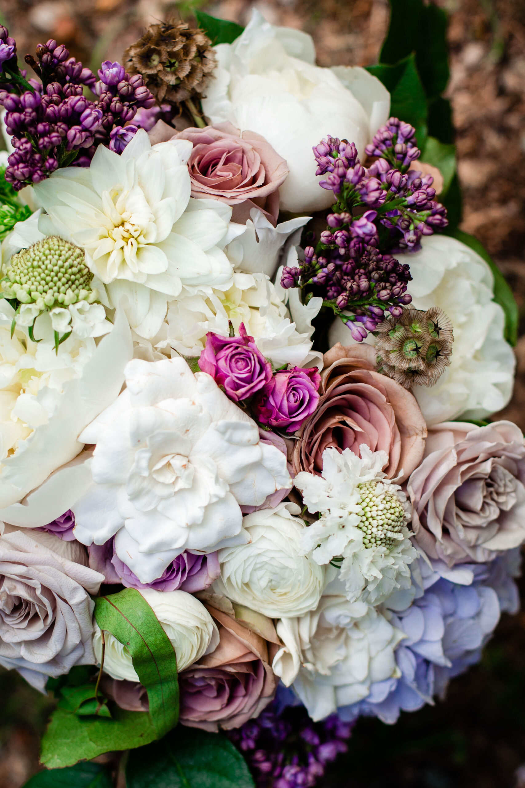 Purple & White Florals - Ivory Door 