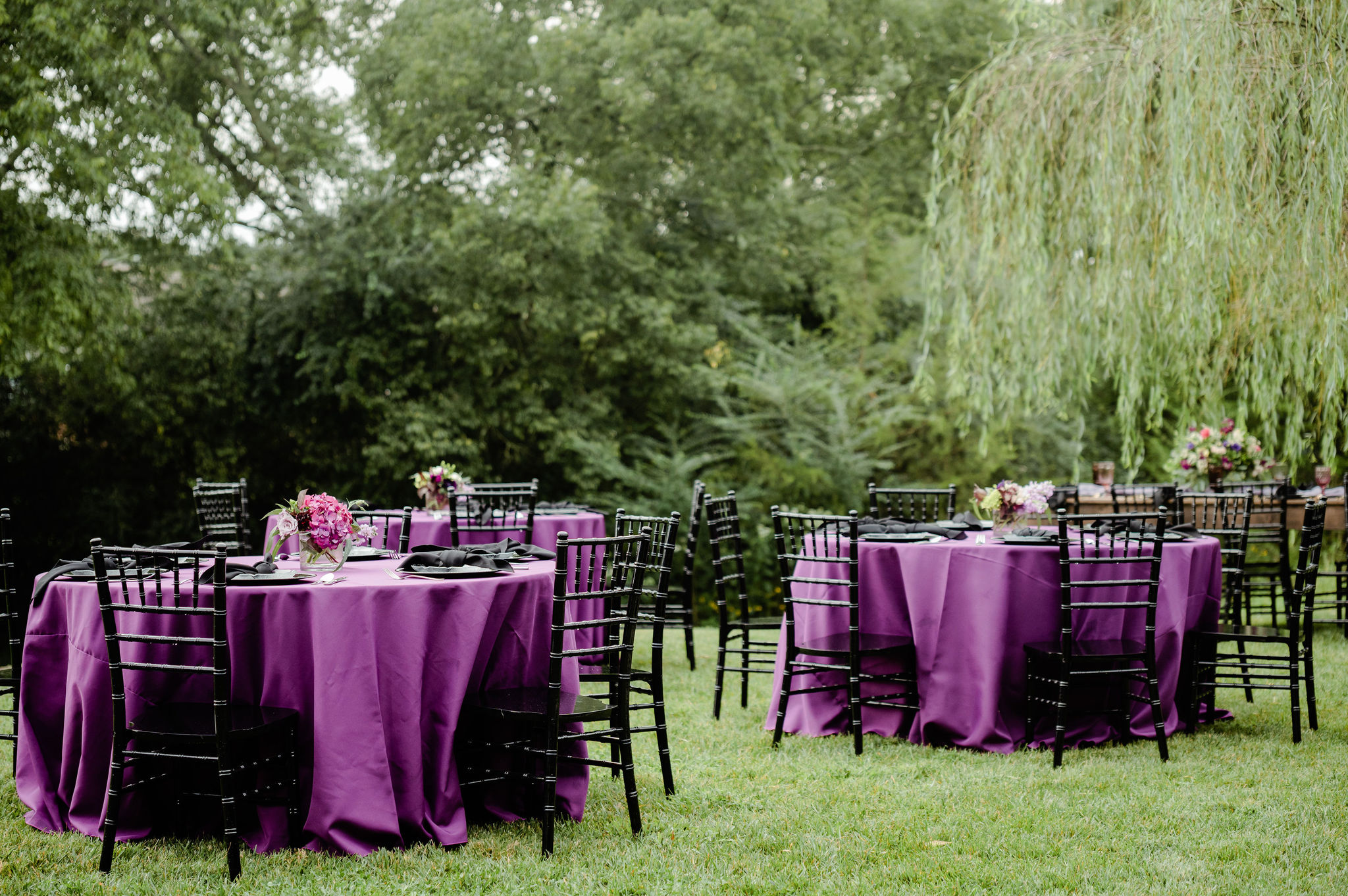 Modern Garden - Plum & Black