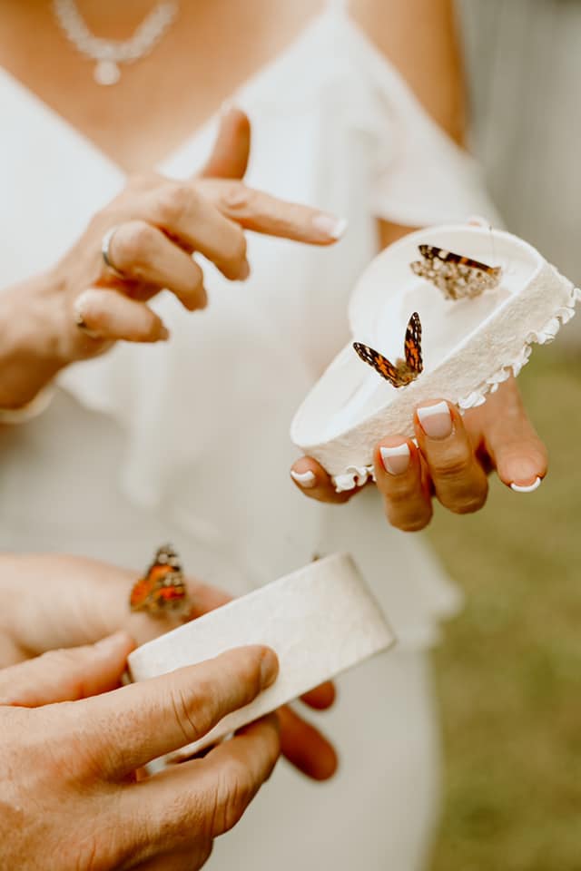 Butterfly Release